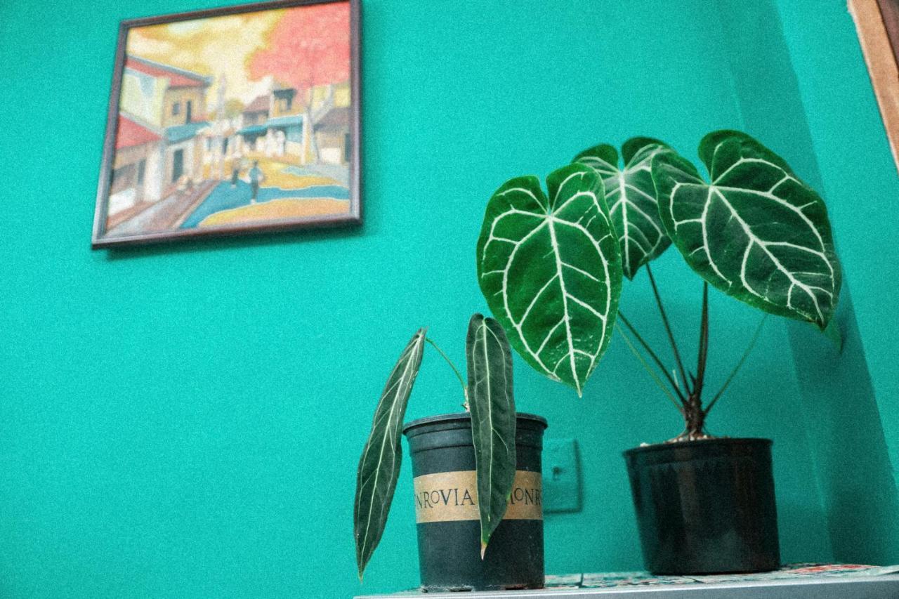 Apartment Sai Gon 19 - Near Ben Thanh Market *